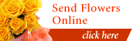 Send Flowers Online